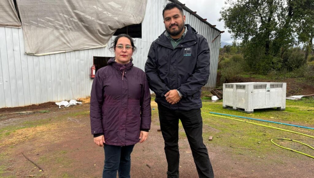 Delegada Aly Valderrama inspecciona perrera municipal de Linares junto a Subdere tras denuncias ciudadanas 1 Delegada Aly Valderrama inspecciona perrera municipal de Linares junto a Subdere tras denuncias ciudadanas