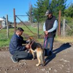 Imagen de WhatsApp 2025 08 14 a las 16.04.25 3a32f2f2