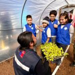 Imagen de WhatsApp 2025 08 21 a las 16.19.03 67cab491