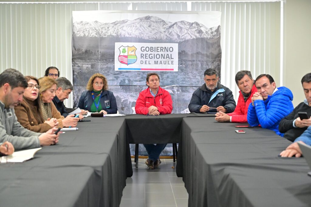 Gobernador y parlamentarios acuerdan citar al ministro de Energía para enfrentar la crisis eléctrica en el Maule 1 Imagen de WhatsApp 2025 08 22 a las 13.56.43 74c288ac