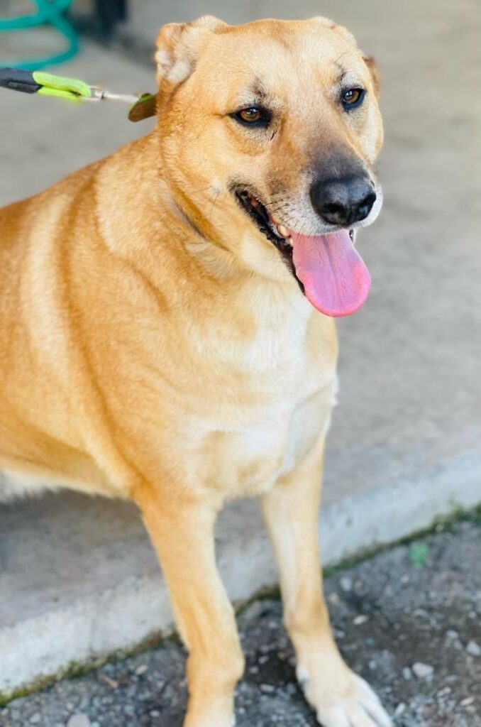 Imagen de WhatsApp 2025 08 28 a las 15.39.30 42eef380 e1756410736826