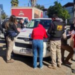 PDI Curico fiscaliza a migrantes en operativo en terminal de buses