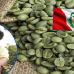 cafe verde peru 750x400 1