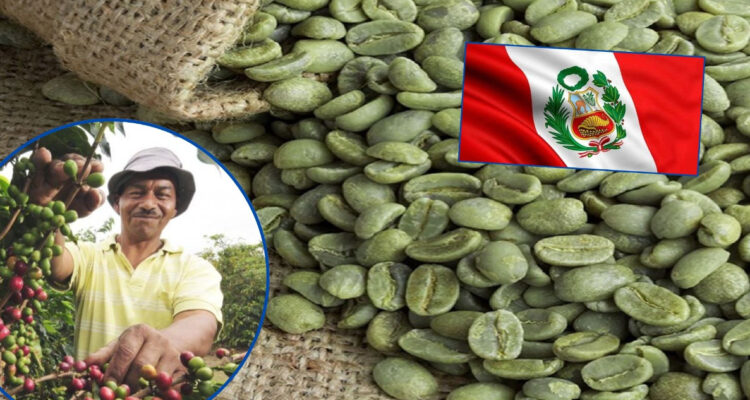 El café verde peruano pisa fuerte en Chile: el producto vecino que busca revolucionar el mercado 1 cafe verde peru 750x400 1