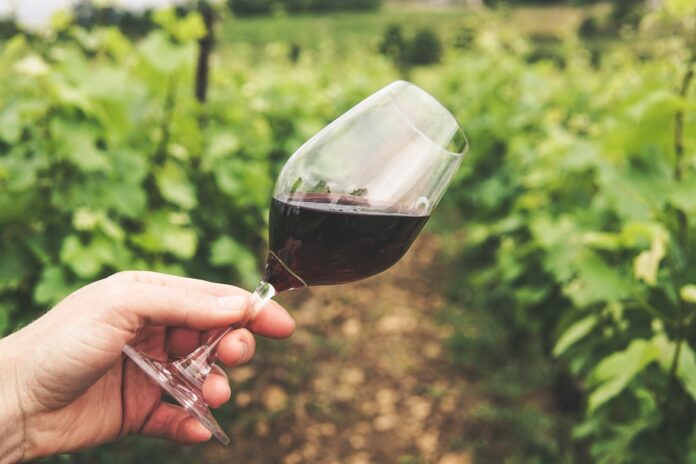 copa de vino vinedo 696x464 1