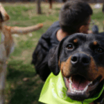 foto 0000000220250807150654