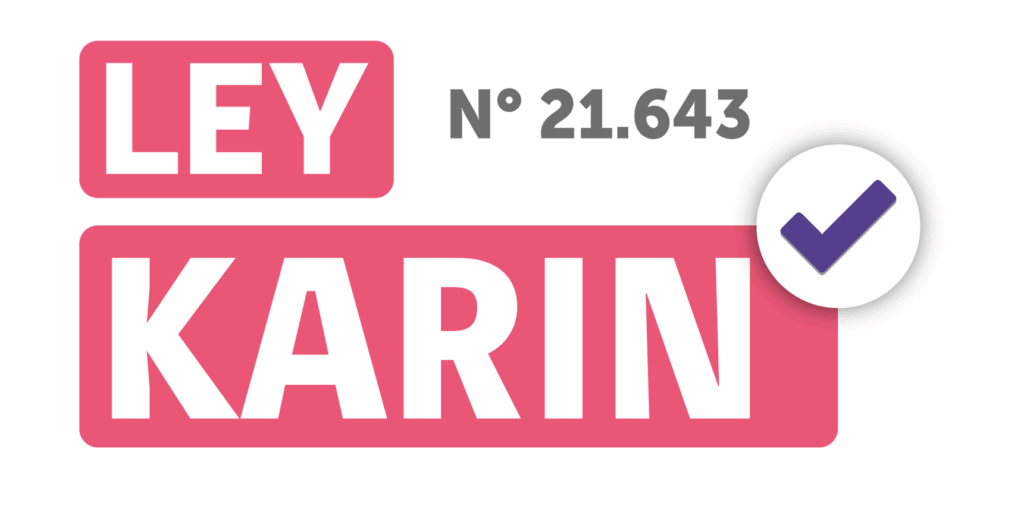 ley karin logo e1720533137315