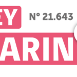 ley karin logo e1720533137315