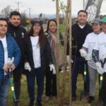 reforestan Molina