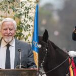 Analitica Maule Roberto Celedon lidera preferencias para diputado y Cristian Vial encabeza carrera senatorial en el Maule