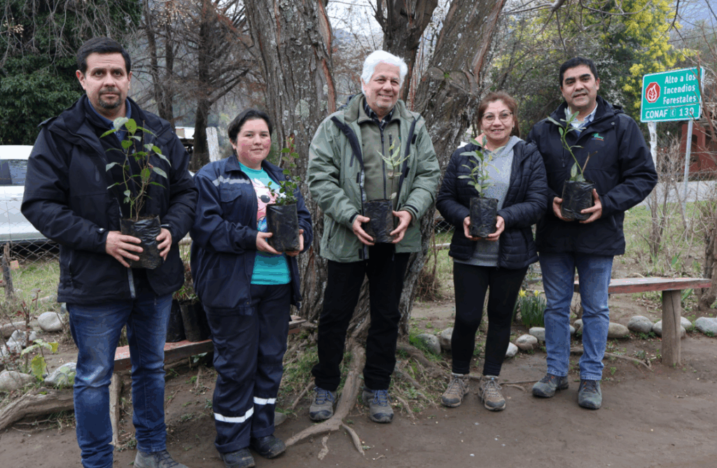 CONAF muestra resultados del Programa de Emergencia de Empleo en Linares 1 Foto 4