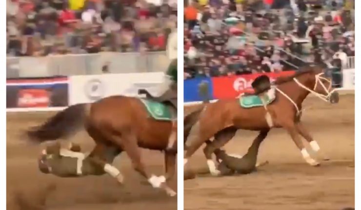 Carabinero herido tras caer de un caballo en el Parque Padre Hurtado 1 IMG 1025 740x430 1