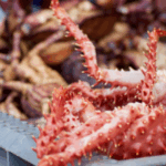 Screenshot 2025 09 22 201658 e1758583056320 740x430 1