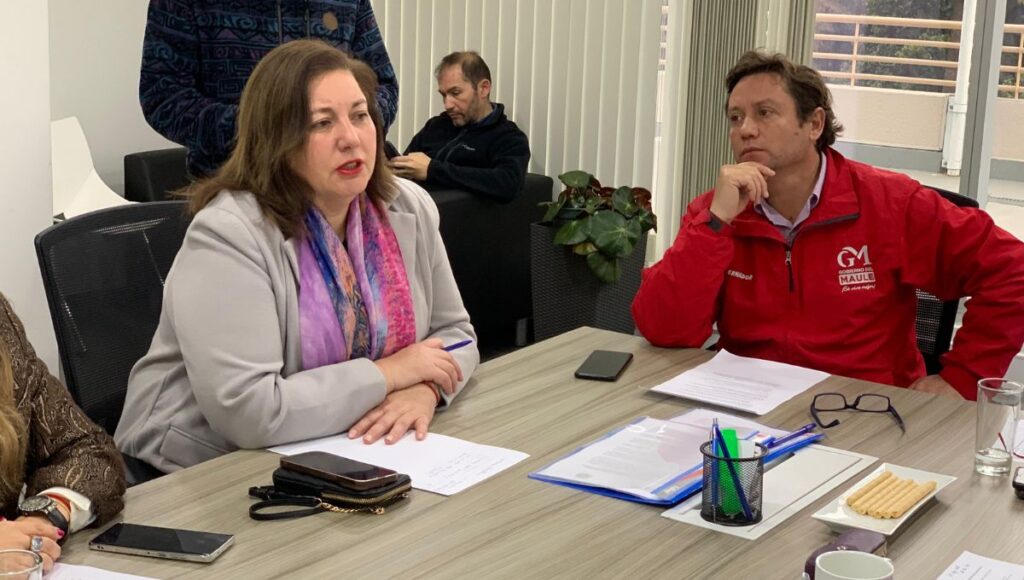 Senadora Vodanovic cita a Hacienda y Dipres por recorte presupuestario a Gobiernos Regionales