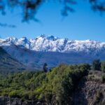 WhatsApp Image 2025 09 17 at 10.47.39