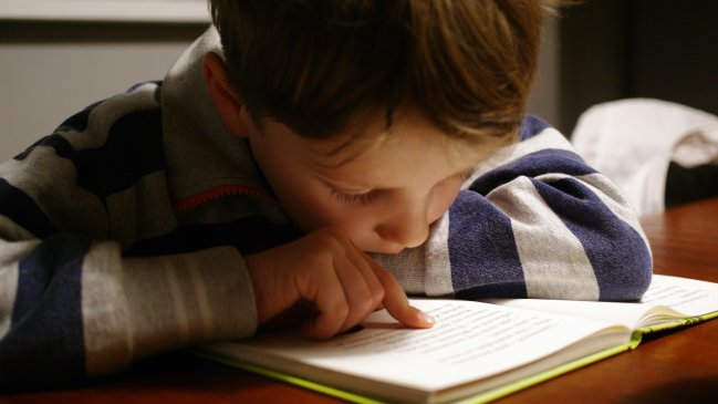 Investigadores advierten que la IA puede debilitar la lectura profunda 1 foto 0000000220250907101508