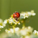 foto 0000000220250921091127