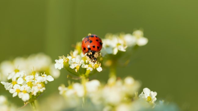 foto 0000000220250921091127