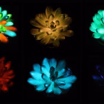 glow in the dark succulents copy
