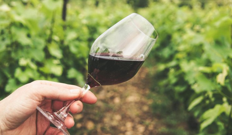 pexels grape things 2954924 e1756759912642 740x430 1