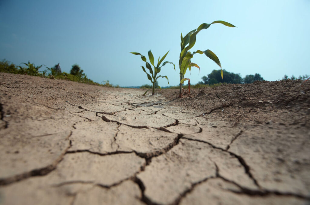 Déficit de lluvias marca invierno frío y proyecta primavera seca 1 unnamed 3