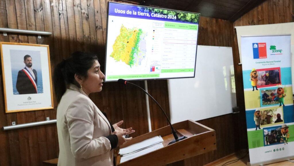 Actualizacion del catastro vegetal revela que mas del 40 de la superficie del Maule esta cubierta por bosques