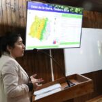 Actualizacion del catastro vegetal revela que mas del 40 de la superficie del Maule esta cubierta por bosques