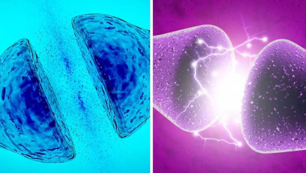 Científicos crean neurona artificial que imita la actividad del cerebro humano con mínima energía 1 Cientificos crean neurona artificial que imita la actividad del cerebro humano con minima energia