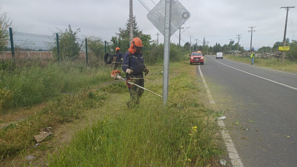 Vecinos destacan limpieza de caminos rurales realizada por el municipio 1 Foto 1 Limpieza Caminos