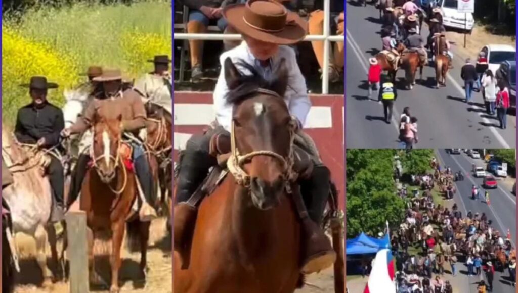 Romeral celebró el Día Comunal del Arriero 2025 con emotivo homenaje a las tradiciones cordilleranas 1 Portada Noticias 8