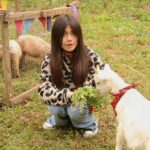 WhatsApp Image 2025 10 17 at 11.31.29