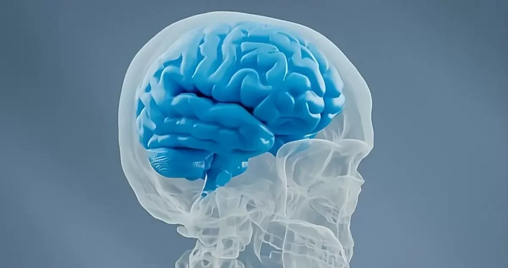 Científicos revelan los 17 factores que influyen en la demencia, el ACV y la depresión 1 cerebro 3