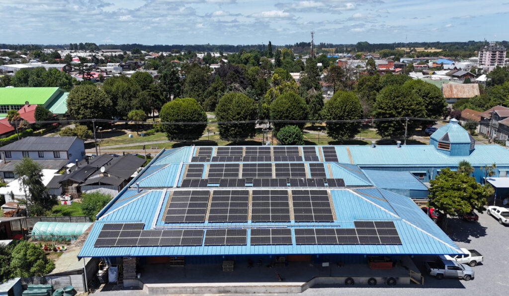 Colun impulsa producción lechera sostenible con energía solar 1 colun paneles solares