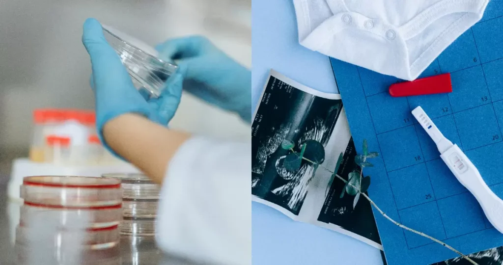 De Inglaterra a Chile: la historia del primer bebé nacido por fecundación in vitro en Latinoamérica 1 primera bebe fecundacion in vitro