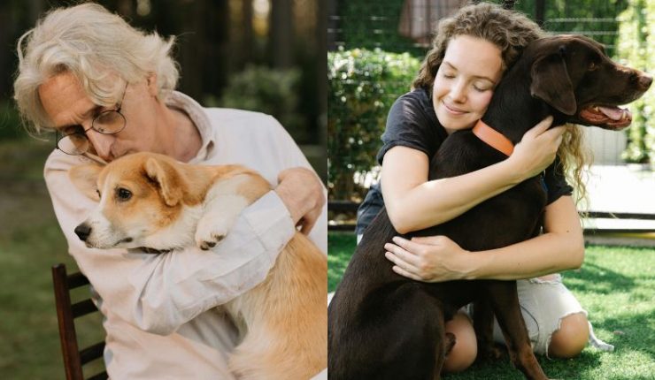 Cámara aprueba la “Ley Duque”: permiso laboral por muerte de mascota 1 Diseno sin titulo 3 740x430 1