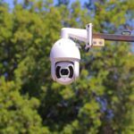 Imagen de WhatsApp 2025 11 04 a las 20.30.41 d3b26da9 1