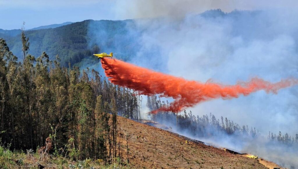 Incendio forestal “Gómez VII” sigue activo y en contención en Pelluhue 1 Incendio forestal Gomez VII sigue activo y en contencion en Pelluhue