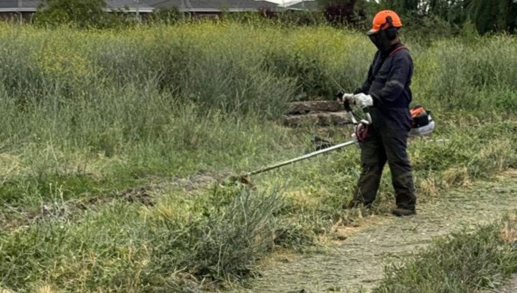 Municipalidad de Curico refuerza trabajos para evitar incendios en pastizales