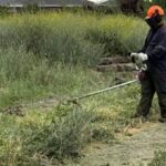 Municipalidad de Curico refuerza trabajos para evitar incendios en pastizales