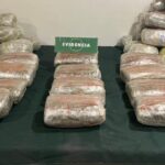 OS7 incauta 41 kilos de marihuana en control vehicular en la Ruta 5 Sur en Curico