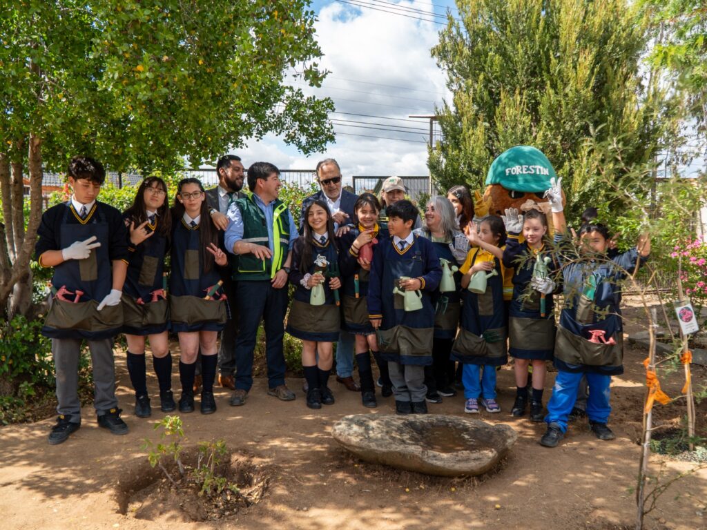 WhatsApp Image 2025 11 12 at 16.41.35