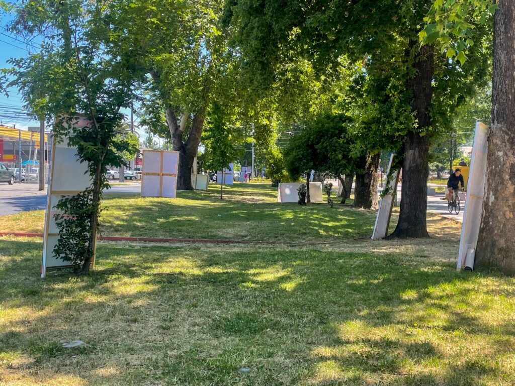 WhatsApp Image 2025 11 13 at 12.55.35