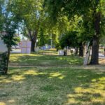 WhatsApp Image 2025 11 13 at 12.55.35