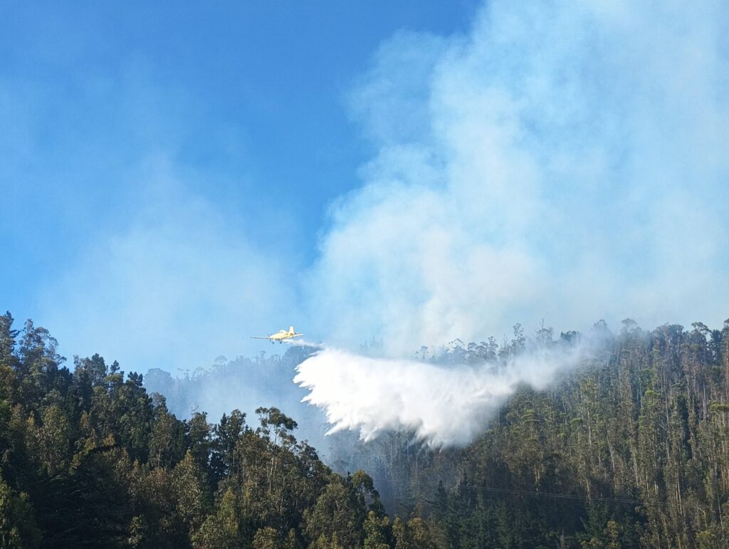Incendio forestal “San Antonio” sigue activo en Constitución 1 597431552 122163297290748360 5149708580062482113 n
