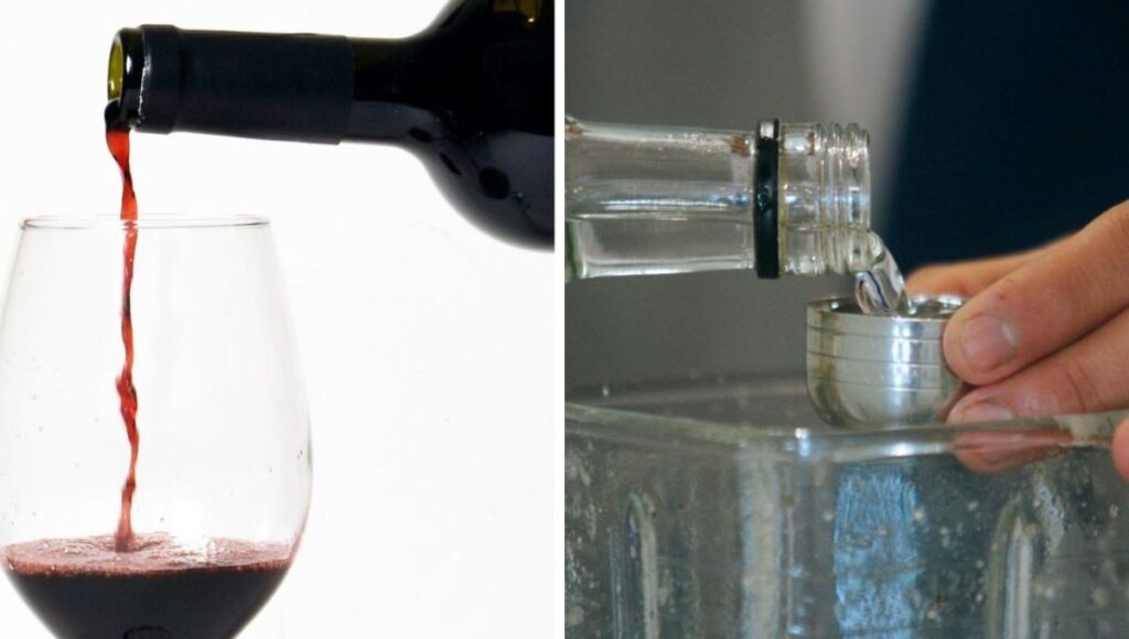 Camara aprueba proyecto que declara al vino y al pisco como bebidas nacionales de Chile