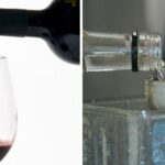 Camara aprueba proyecto que declara al vino y al pisco como bebidas nacionales de Chile