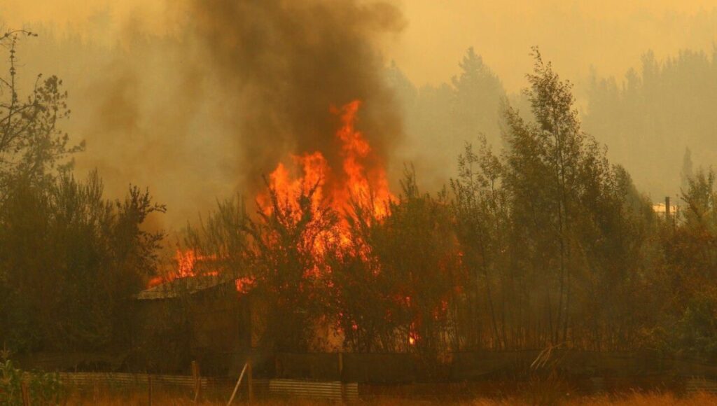 Mujer es formalizada en Pelluhue por originar incendio de pastizales 1 Mujer es formalizada en Pelluhue por originar incendio de pastizales