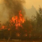 Mujer es formalizada en Pelluhue por originar incendio de pastizales