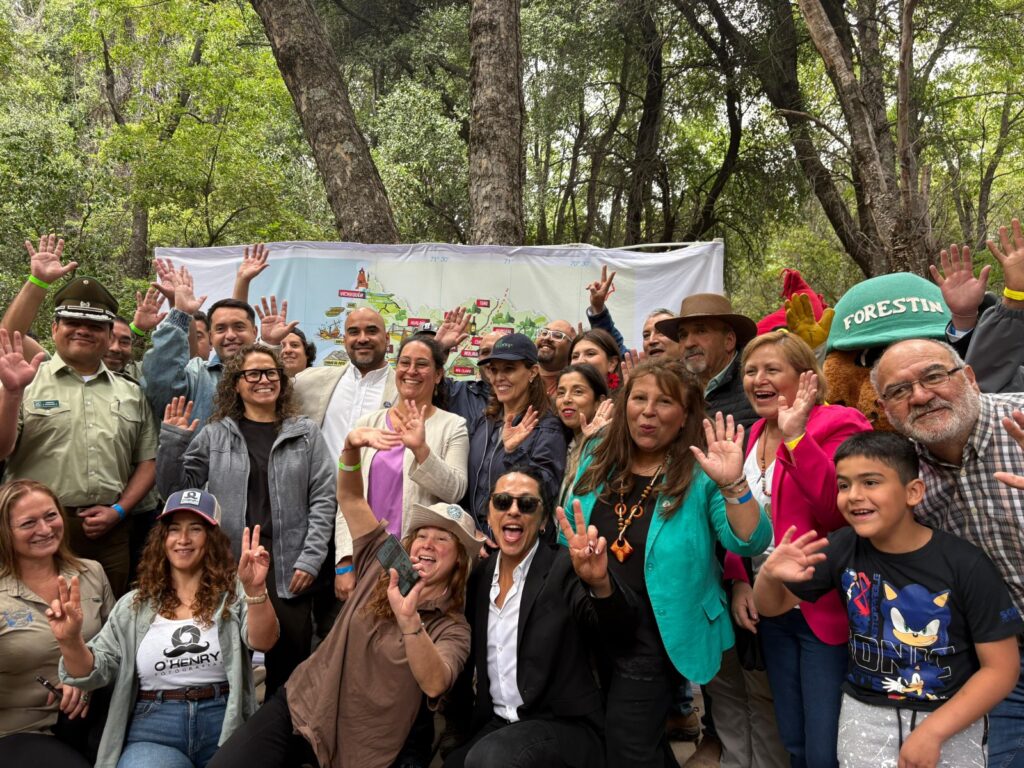 WhatsApp Image 2025 12 11 at 21.08.38