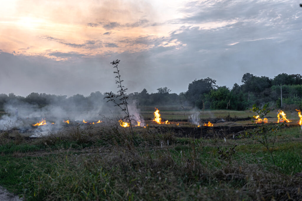 incendio1